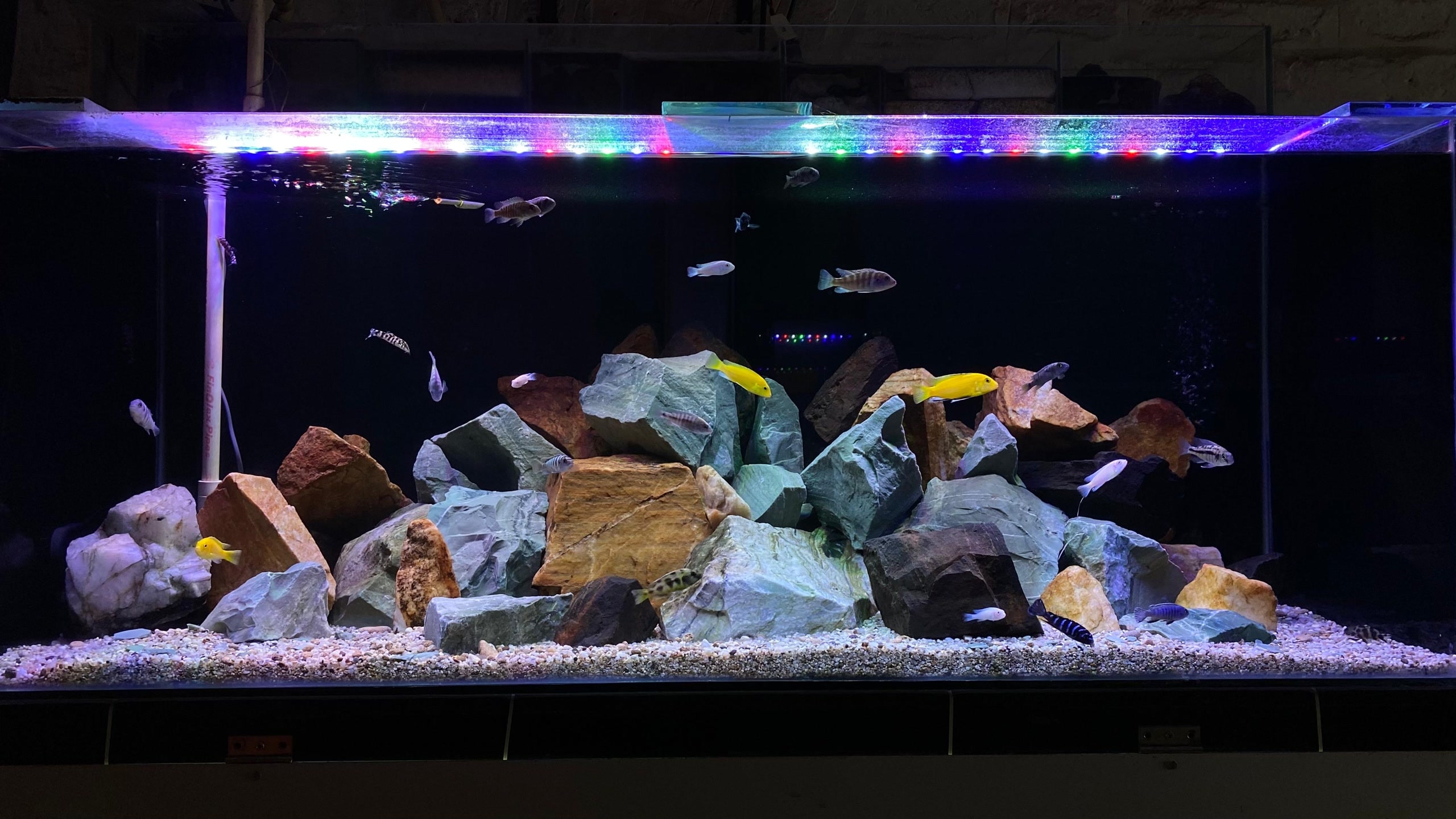 Aquarium Work