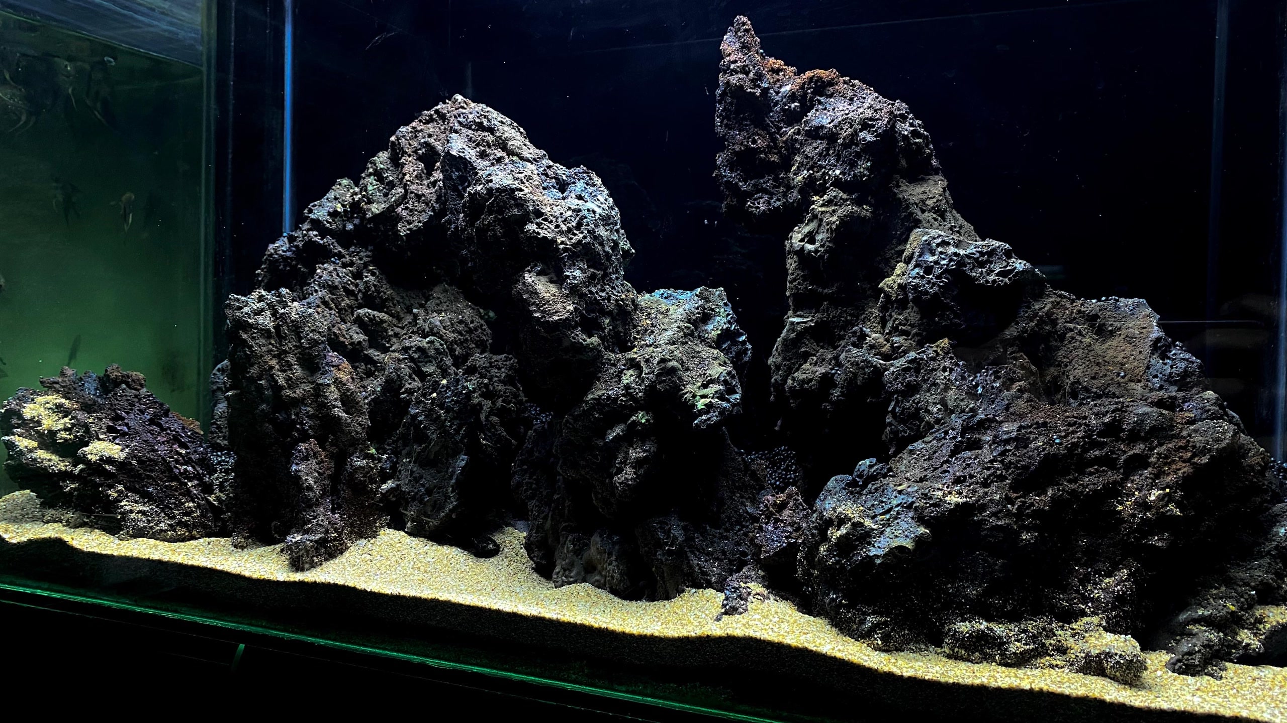 Aquarium Work