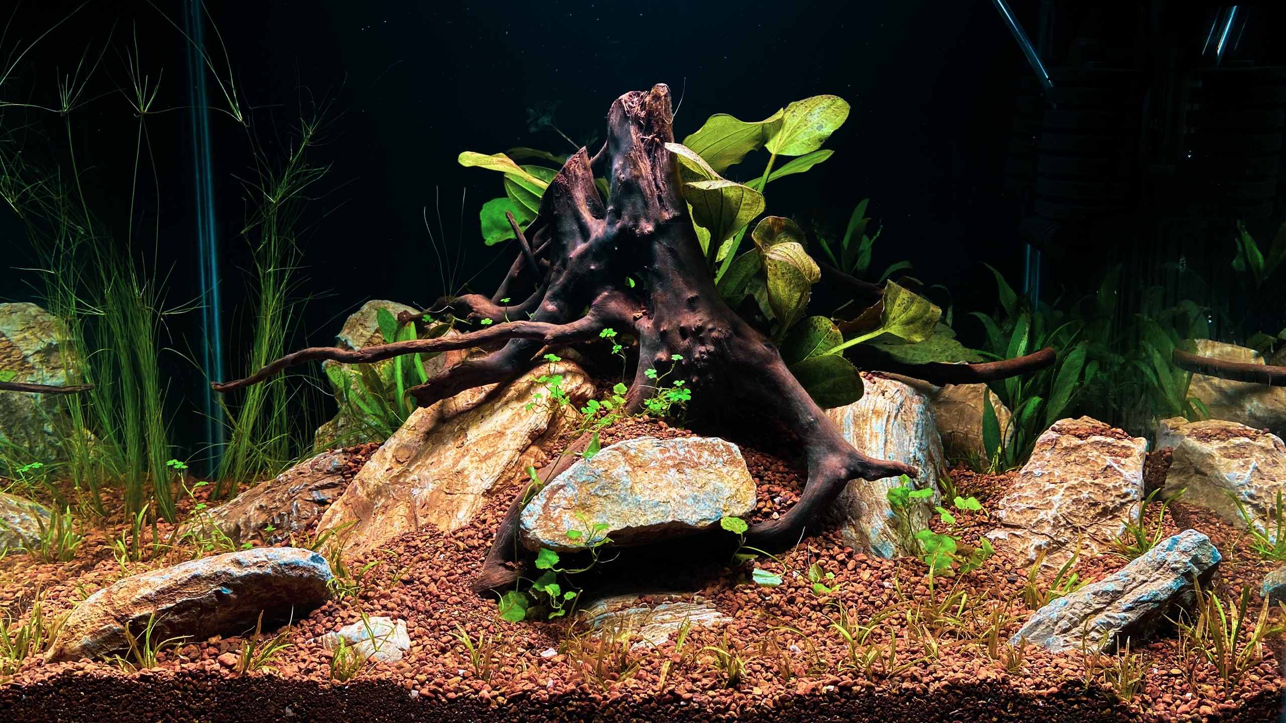 Aquarium Work