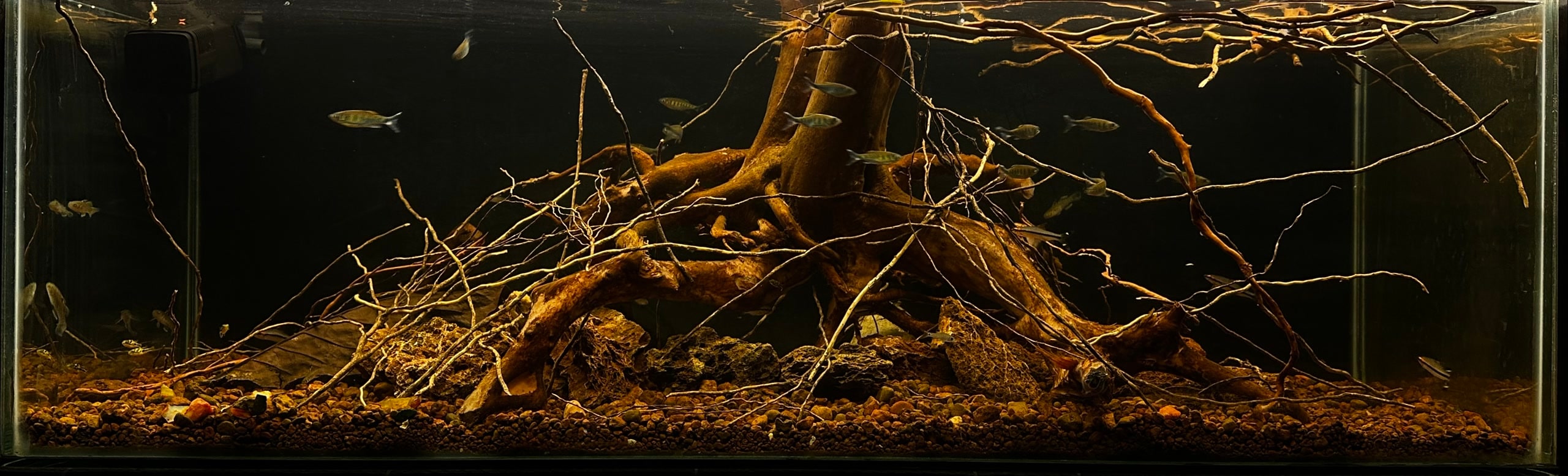 Aquarium Work