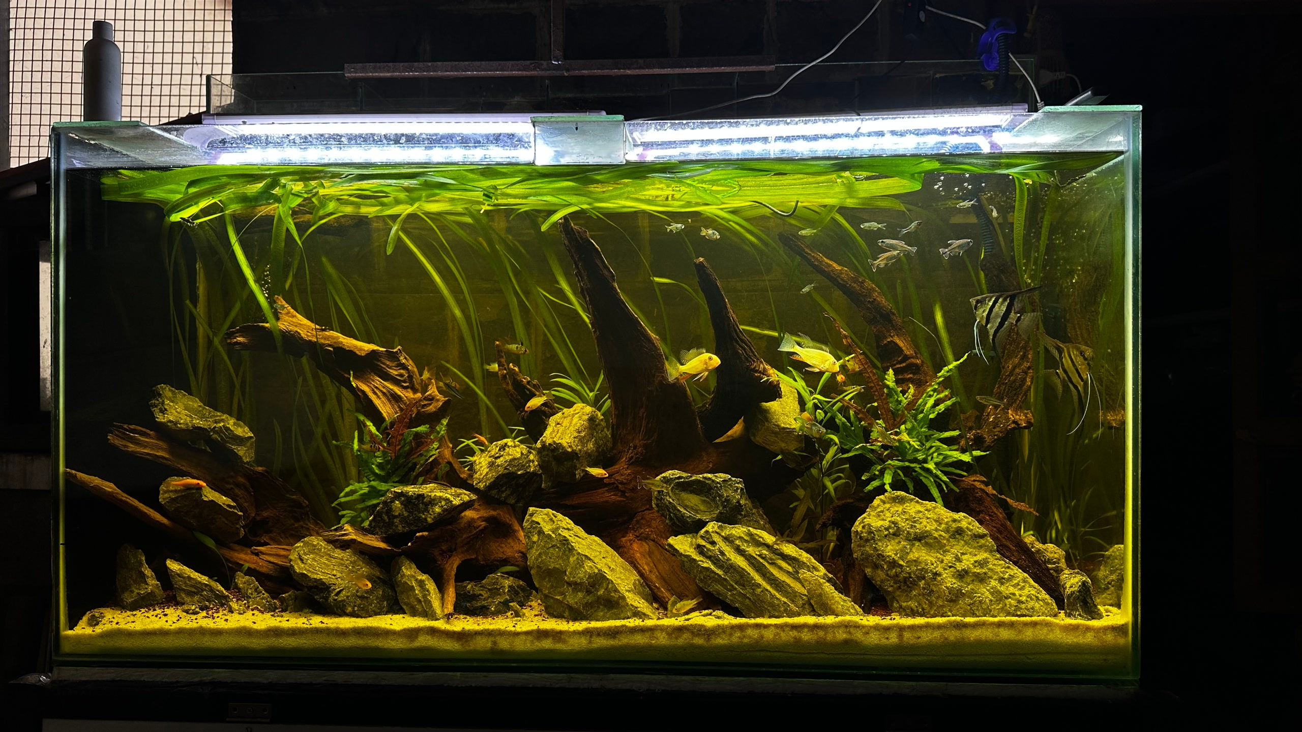 Aquarium Work