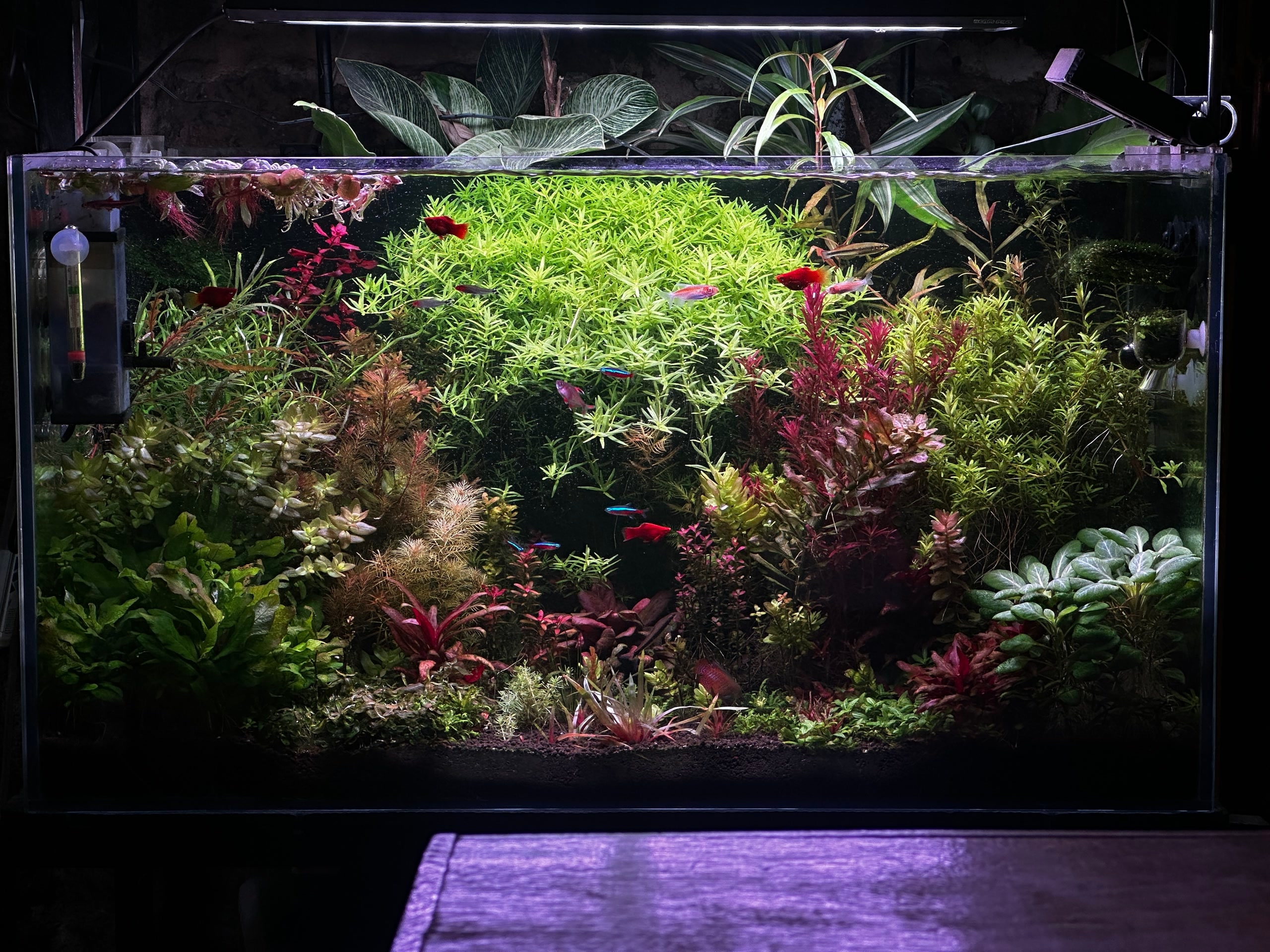 Aquarium Work