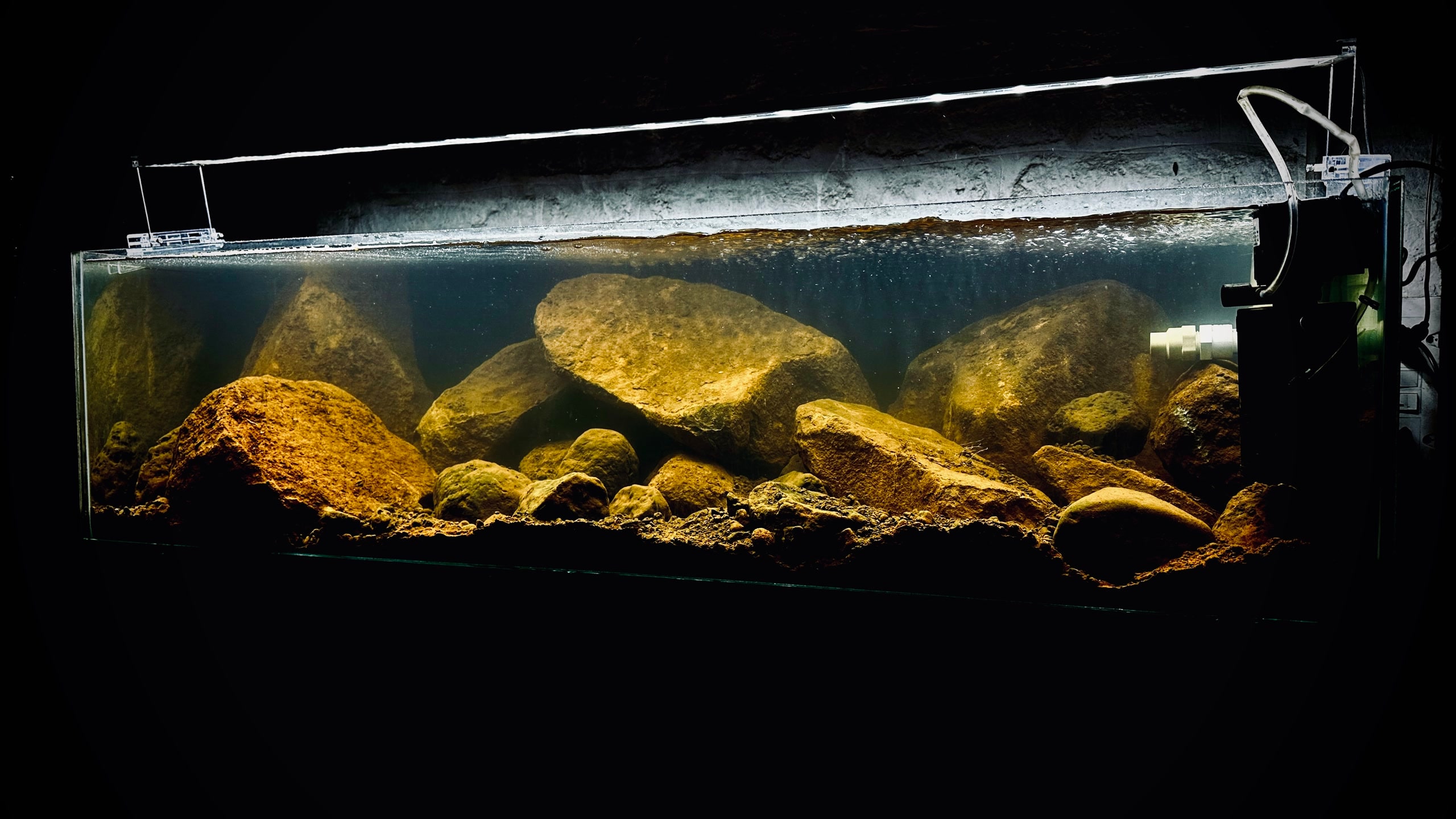 Aquarium Work