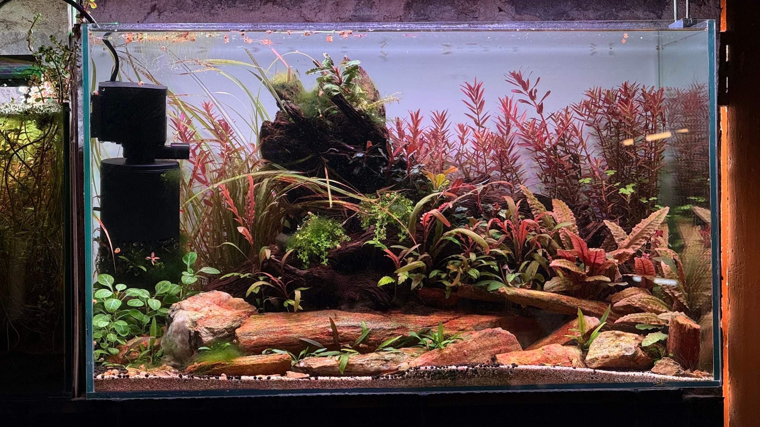 Aquarium Work